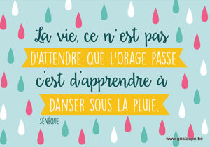 Citations Gris Taupe