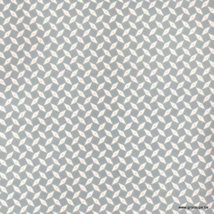 papier petit pan pepin gris