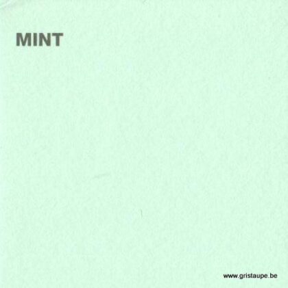 papier canford de loisir créatif de couleur menthe