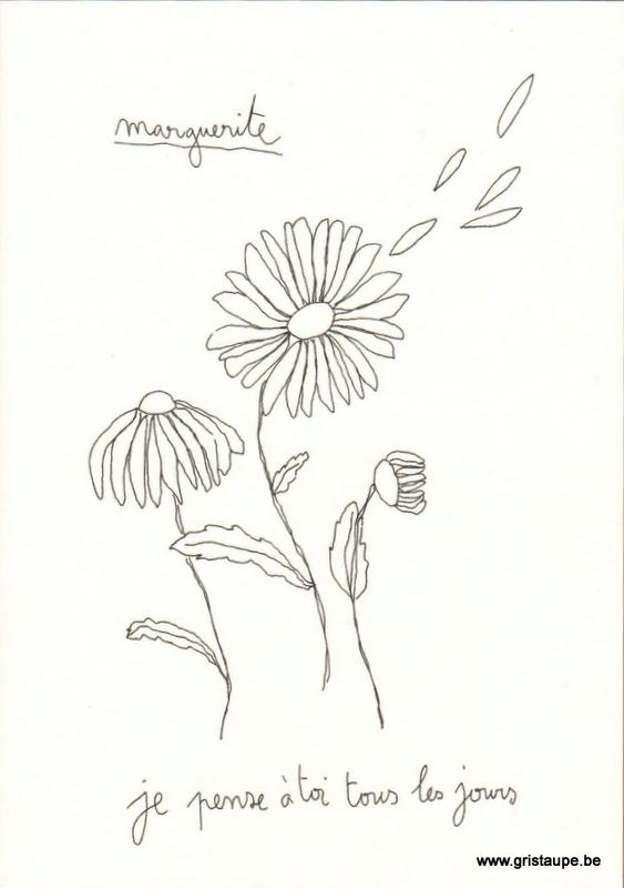 carte postale double illustrée par papillonnage et représentant une marguerite