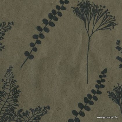 papier de lokta fabriqué à la main au Népal botanique lichen