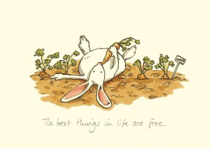 carte postale illustrée par anita jeram et éditée aux éditions two bad mice représentant un lapin couché dans un champs de carottes